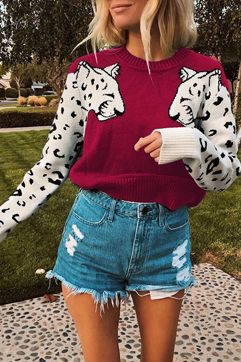 LD | KlCMsic en elegante wintertop